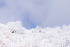 14 [70 pic] 누가 걸어간다, 소백산 눈꽃산행(비로사~달밭재~비로봉... 14 [70 pic] 누가 걸어간다, 소백산 눈꽃산행(비로사~달밭재~비로봉... 