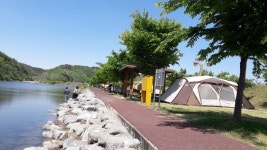 영천 임고강변 무료 캠핌장 나와있네요 - 뽐뿌:캠핑포럼 영천 임고강변 무료 캠핌장 나와있네요