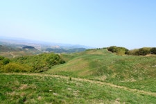 [04.29] 서산 용유지~개심사~서산농장 트레킹 - 뽐뿌:등산포럼 [04.29] 서산 용유지~개심사~서산농장  트레킹