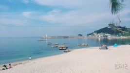 5/20~5/21 장호비치캠핑장 D구역 후기 - 뽐뿌:캠핑포럼 5/20~5/21 장호비치캠핑장 D구역 후기