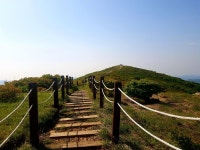 실시간 천황산 정상. 시원하네요-사진3장 - 뽐뿌:등산포럼 실시간 천황산 정상. 시원하네요-사진3장