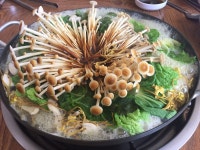 첨단 장수버섯마을,버섯샤브샤브 - 뽐뿌:맛집포럼 첨단 장수버섯마을,버섯샤브샤브