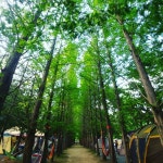 6월 연휴 영월 보보스캇 캠핑장 후기 - 뽐뿌:캠핑포럼 6월 연휴 영월 보보스캇 캠핑장 후기