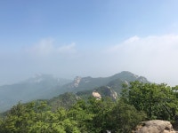 2017/6/8 도봉산산행 다락능선-자운봉-포대능선-사패산... 사진30장 - 뽐뿌:등산포럼 2017/6/8 도봉산산행 다락능선-자운봉-포대능선-사패산... 