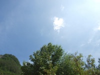 정선 바람하늘공원 야영장 - 뽐뿌:캠핑포럼 정선 바람하늘공원 야영장