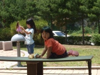 정선 바람하늘공원 야영장 - 뽐뿌:캠핑포럼 정선 바람하늘공원 야영장