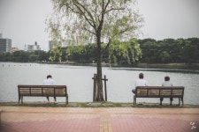 후쿠오카 오호리공원 - 뽐뿌:자유갤러리 후쿠오카 오호리공원