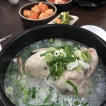 중복 삼계탕 - 뽐뿌:자유갤러리 중복 삼계탕
