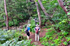 (고견사 주차장-바리봉-장군봉-의상봉-우두산-고견사 주차장) 2017/07/30 - 뽐뿌:등산포럼 거창 우두산...구름 속을 거닐다!!! (고견사 주차장... 