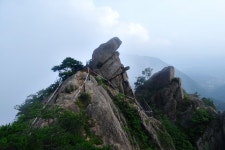 (고견사 주차장-바리봉-장군봉-의상봉-우두산-고견사 주차장) 2017/07/30 - 뽐뿌:등산포럼 거창 우두산...구름 속을 거닐다!!! (고견사 주차장... 