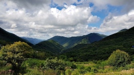 [영남알프스]영남알프스 하늘억새길 정찰사진-사진 폭발- - 뽐뿌:등산포럼 [영남알프스]영남알프스 하늘억새길 정찰사진-사진 폭발-