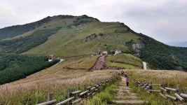 영남알프스 하늘억새길 9월2주차(사진 다수) - 뽐뿌:등산포럼 영남알프스 하늘억새길 9월2주차(사진 다수)