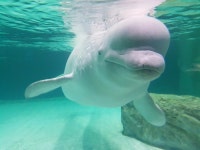 롯데월드 타워 수족관 좋습니다 - 뽐뿌:오프라인뽐뿌 롯데월드 타워 수족관 좋습니다