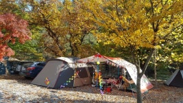 두산분교 단풍캠 마치고 갑니다... - 뽐뿌:캠핑포럼 두산분교 단풍캠 마치고 갑니다...