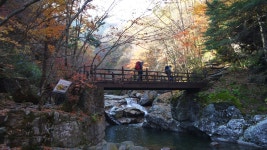 17/10/28 지리산 계곡 탐방 (88pic) - 뽐뿌:등산포럼 17/10/28 지리산 계곡 탐방 (88pic)