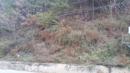 해미읍성 환종주 - 뽐뿌:등산포럼 해미읍성 환종주