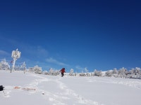 윗세오름(어리목-영실) , 백록담 인생 풍경+ 추가 팁 - 뽐뿌:등산포럼 윗세오름(어리목-영실) , 백록담 인생 풍경+ 추가 팁