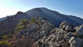 [신불산공룡능선] 신불공룡능선 우회로 편 - 뽐뿌:등산포럼 [신불산공룡능선] 신불공룡능선 우회로 편