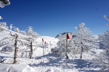지난주 한라산 영실-윗세오름-남벽-어리목 설경..... - 뽐뿌:등산포럼 지난주 한라산 영실-윗세오름-남벽-어리목 설경.....