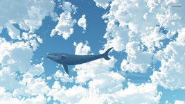 난다 고래! - 뽐뿌:바탕화면갤러리 난다 고래!