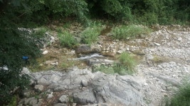 계곡 캠핑장.. 원주 두리 캠핑장 다녀왔어요 [사진 추가] - 뽐뿌:캠핑포럼 계곡 캠핑장.. 원주 두리 캠핑장 다녀왔어요 [사진 추가]