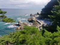 동해안 해안도로 - 뽐뿌:자유갤러리 동해안 해안도로