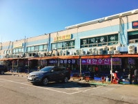 대천 가족여행 - 뽐뿌:자유게시판 대천 가족여행