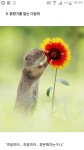 꽃향기 좋으당^^ - 뽐뿌:자유게시판 꽃향기 좋으당^^