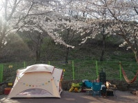 밀양 패밀리 캠핑장을 다녀왔습니다 - 뽐뿌:캠핑포럼 밀양 패밀리 캠핑장을 다녀왔습니다