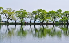 경주 남산 and 경산반곡지 - 뽐뿌:등산포럼 경주 남산 and 경산반곡지