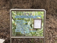 제천 용두산 오토캠핑장 후기 입니다. 캠핑장 소개 위주. 사이트 사진 많습니다. - 뽐뿌:캠핑포럼 제천 용두산 오토캠핑장 후기 입니다. 캠핑장... 