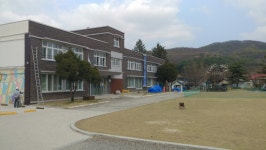 파주 별난독서캠핑장 입니다 - 뽐뿌:캠핑포럼 파주 별난독서캠핑장 입니다