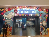 롯데월드 아쿠아리움 - 뽐뿌:자유갤러리 롯데월드 아쿠아리움