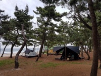 연곡솔향기 후기 - 뽐뿌:캠핑포럼 연곡솔향기 후기