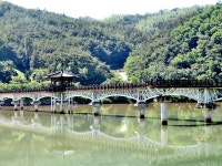 6월 15일(토)에서 16일(일)까지 갔다온 안동 2탄(안동시내, 강변, 월영교) - 뽐뿌:자유갤러리 6월 15일(토)에서 16일(일)까지 갔다온 안동 2탄... 