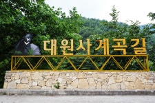 2019.7.14 대원사 계곡 - 뽐뿌:등산포럼 2019.7.14 대원사 계곡
