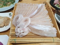 포항에서 먹은 참가자미회 - 뽐뿌:자유갤러리 포항에서 먹은 참가자미회