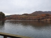 파주 마장호수 출렁다리~~ - 뽐뿌:자유갤러리 파주 마장호수 출렁다리~~