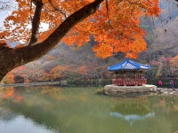 정읍 내장산 내장야영장 단풍 솔캠 - 뽐뿌:캠핑포럼 정읍 내장산 내장야영장 단풍 솔캠