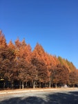 보보스캇 캠핑장에 대한 참고사항 - 뽐뿌:캠핑포럼 보보스캇 캠핑장에 대한 참고사항