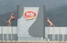 천안 논산간 고속도로 가다보면 하림 공장이 있는데요. 왜 개를 주제로... - 뽐뿌:자유게시판 천안 논산간 고속도로 가다보면  하림 공장이... 
