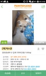 안중백병원 근처 개 잃어버리신분 - 뽐뿌:자유게시판 안중백병원 근처 개 잃어버리신분