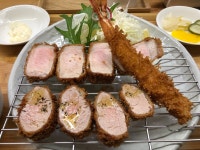 돈카츠 어때보여요? - 뽐뿌:자유게시판 돈카츠 어때보여요?