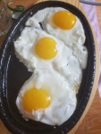철판 계란후라이는 정말.. - 뽐뿌:자유게시판 철판 계란후라이는 정말..