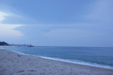 연곡솔향기캠핑장 다녀왔습니다. - 뽐뿌:캠핑포럼 연곡솔향기캠핑장 다녀왔습니다.