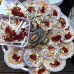 태종대 자갈마당 - 뽐뿌:맛집포럼 태종대 자갈마당