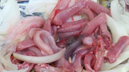 [4k] 살아있는 꼼장어 구이! 부산자갈치 - 뽐뿌:맛집포럼 [4k] 살아있는 꼼장어 구이! 부산자갈치