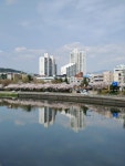 날씨가 화창한 가운데 대구 경대교 벚꽃 풍경 - 뽐뿌:자유갤러리 날씨가 화창한 가운데 대구 경대교 벚꽃 풍경
