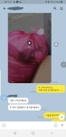 새끼냥이들 비닐봉지에 버린놈찾습니다!! - 뽐뿌:유머/감동 새끼냥이들 비닐봉지에 버린놈찾습니다!!