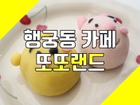 곰돌이 푸우 화과자 - 뽐뿌:맛집포럼 곰돌이 푸우 화과자